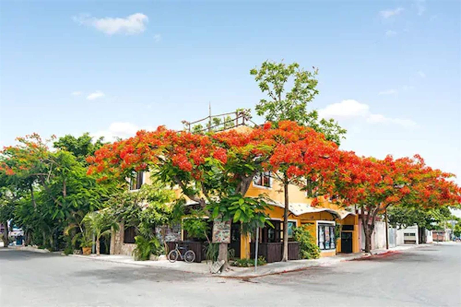 Maison Tulum: yellow facade on the street